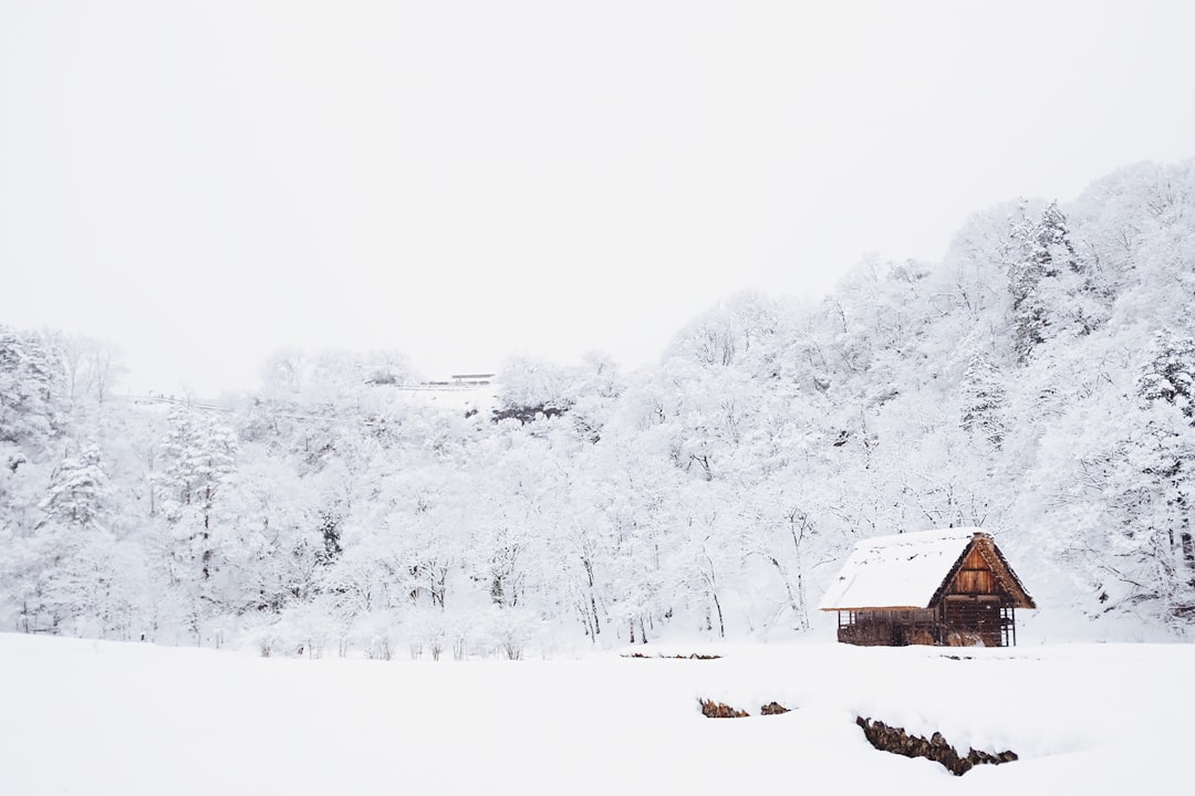 Photo Snow-covered terrain